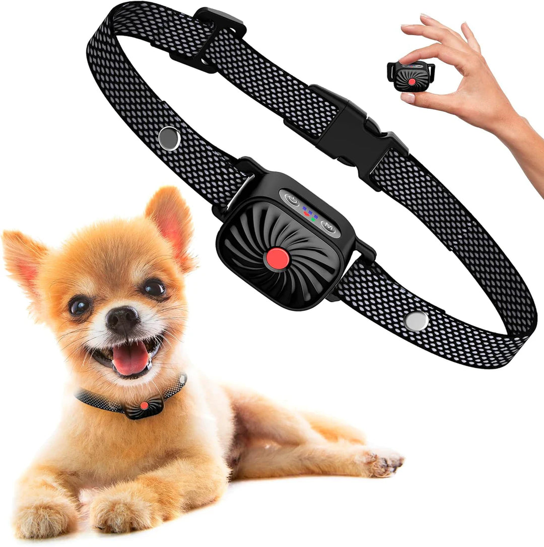 Antibellhalsband für kleine Hunde – Einstellbar, Sanft & Effektiv | Trainingshalsband mit Ton, Vibration oder Spray