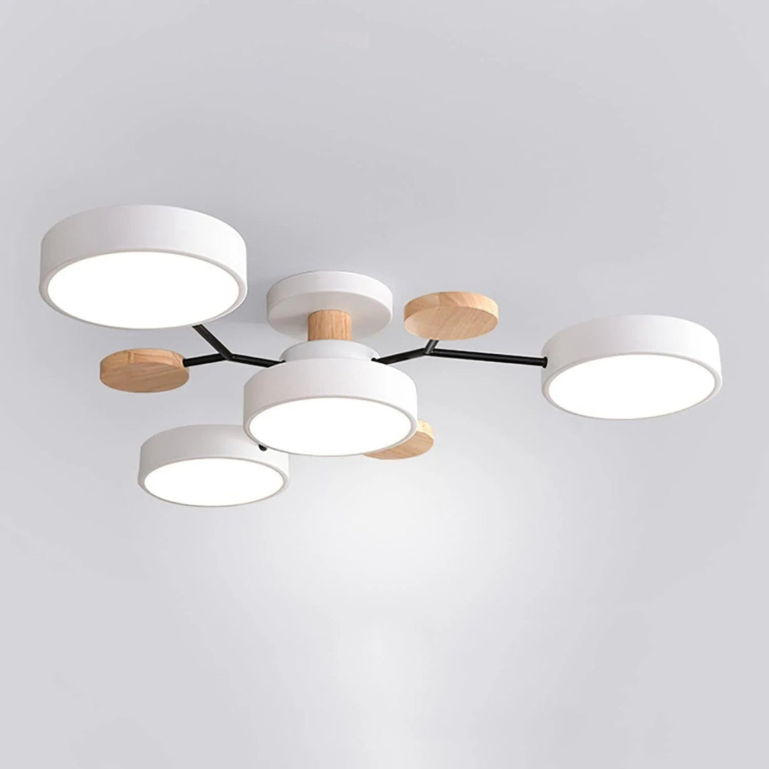 Contemporary LED Ceiling Light Flush Mount Multi-Light Fixture