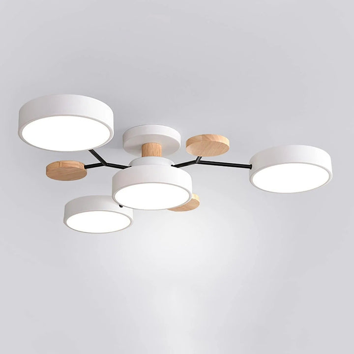 Contemporary LED Ceiling Light Flush Mount Multi-Light Fixture