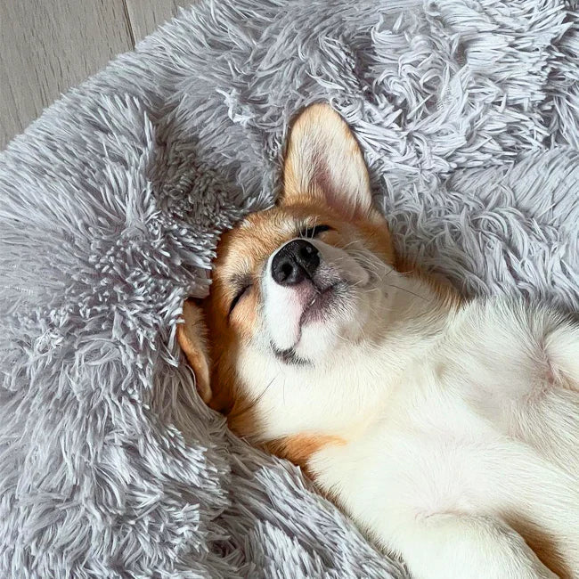 Chew Resistant Calming Dog Bed with Cooling Design