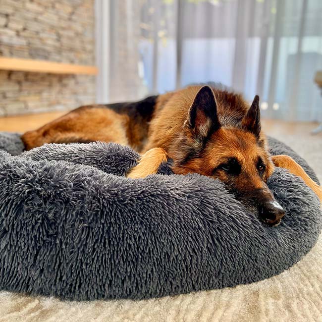 Chew Resistant Calming Dog Bed with Cooling Design