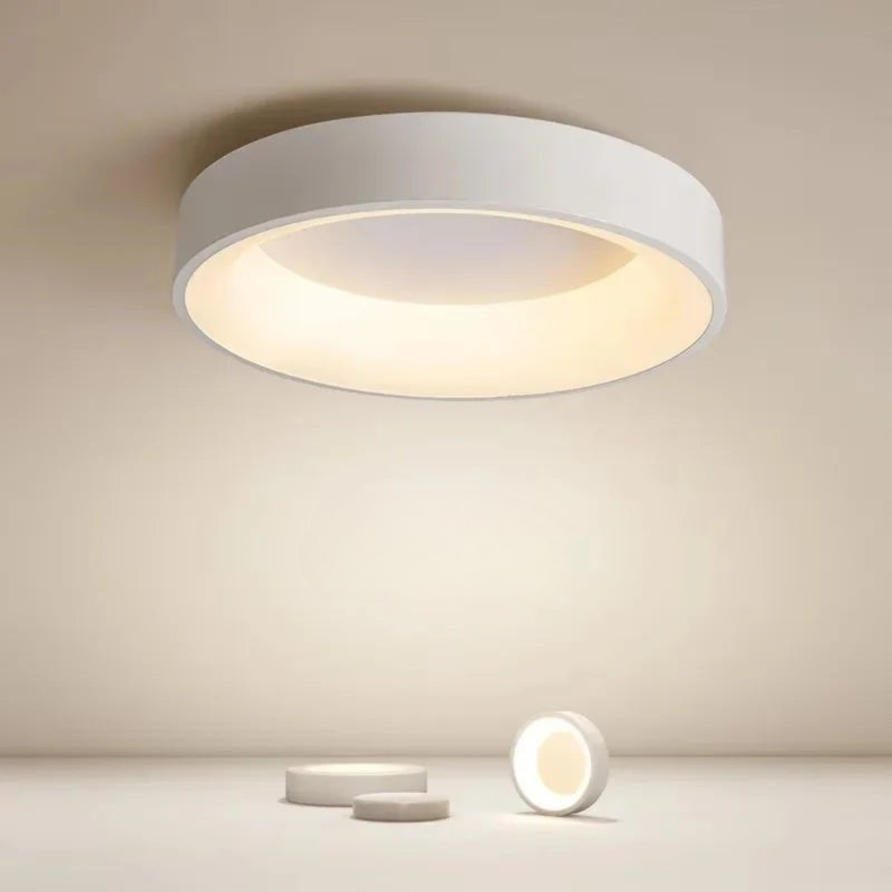 Modern Ceiling Light Round Flush Mount LED Room Lighting