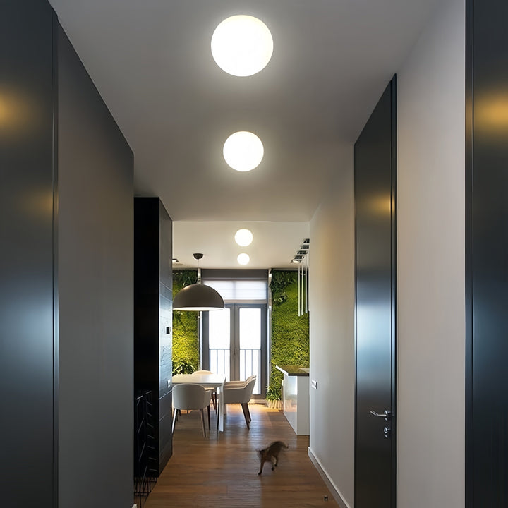 Round Globe Ceiling Light Contemporary Indoor Lighting