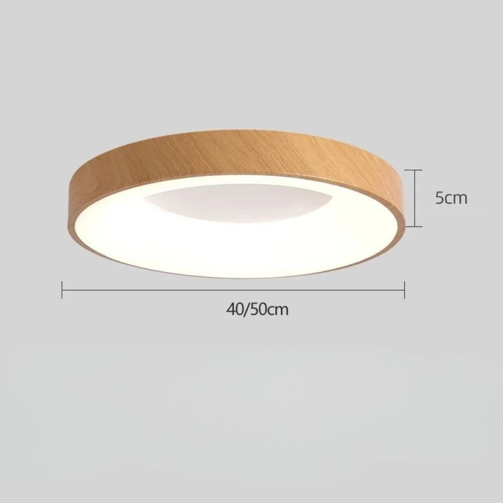 Modern Ceiling Light Round Flush Mount LED Room Lighting