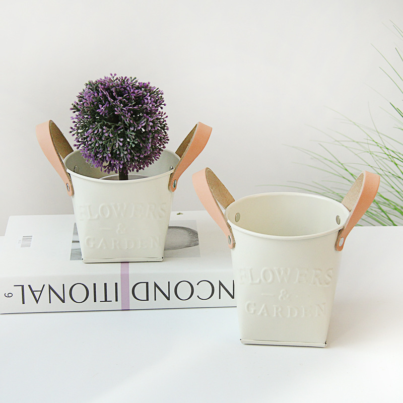 Indoor & Outdoor Plant Pots with Carry Handles