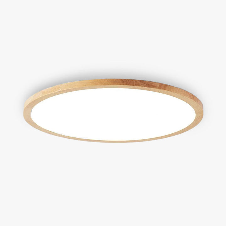 Modern LED Ceiling Light Dimmable Tri-Colour Indoor Fixture