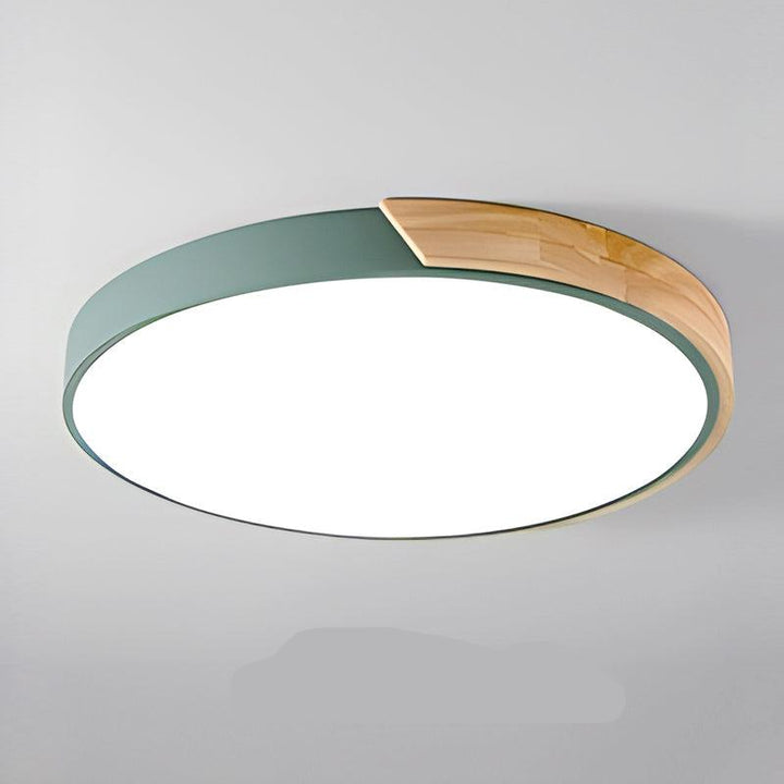 Modern Flush Mount Ceiling Light Round LED Indoor Lighting