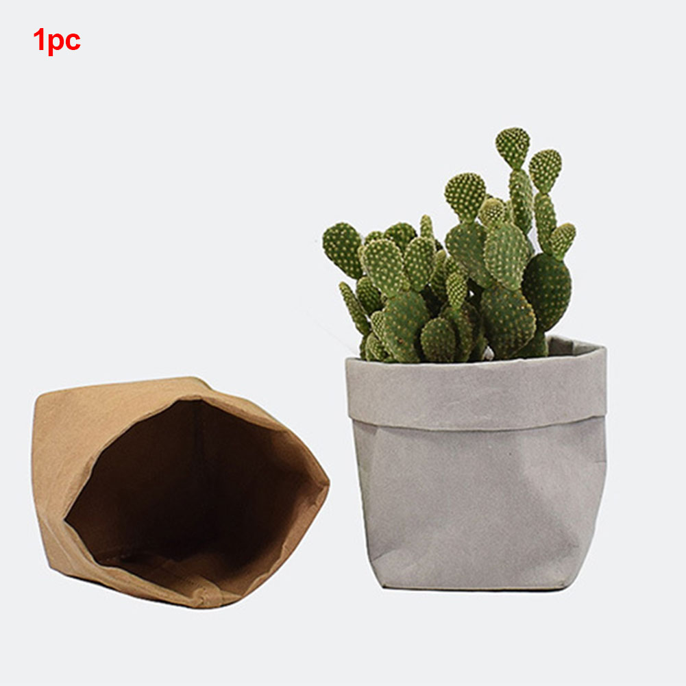 Eco Paper Plant Pots – Contemporary Indoor Planters