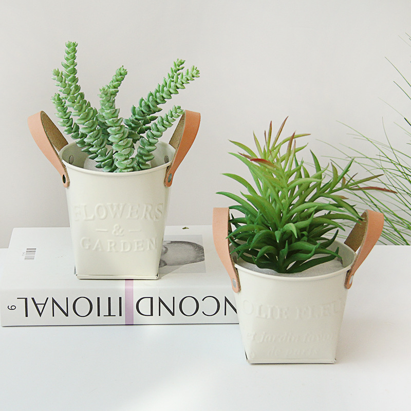 Indoor & Outdoor Plant Pots with Carry Handles