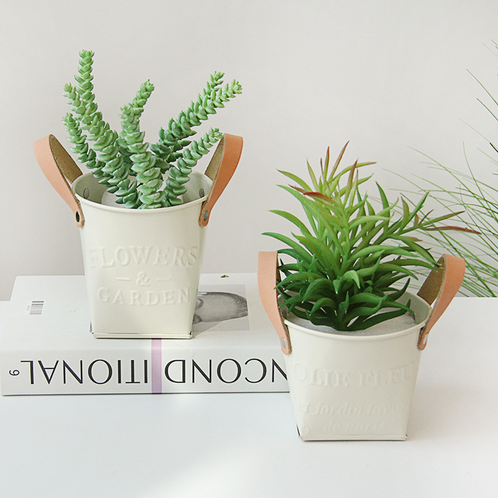 Indoor & Outdoor Plant Pots with Carry Handles