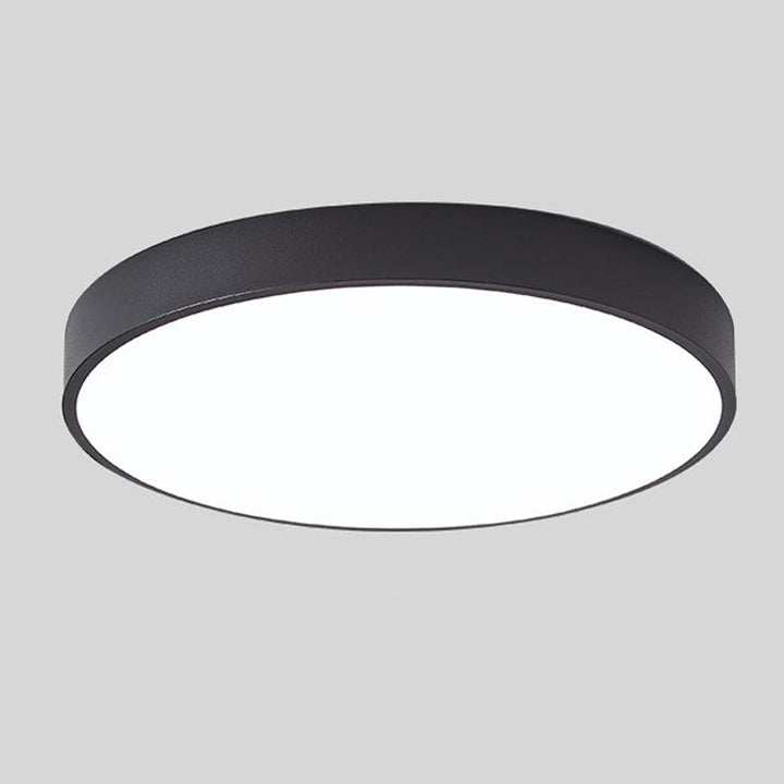 Modern Flush Mount Ceiling Light Round LED Indoor Lighting