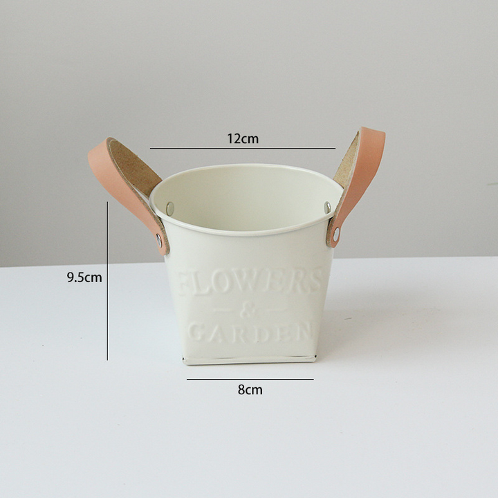 Indoor & Outdoor Plant Pots with Carry Handles