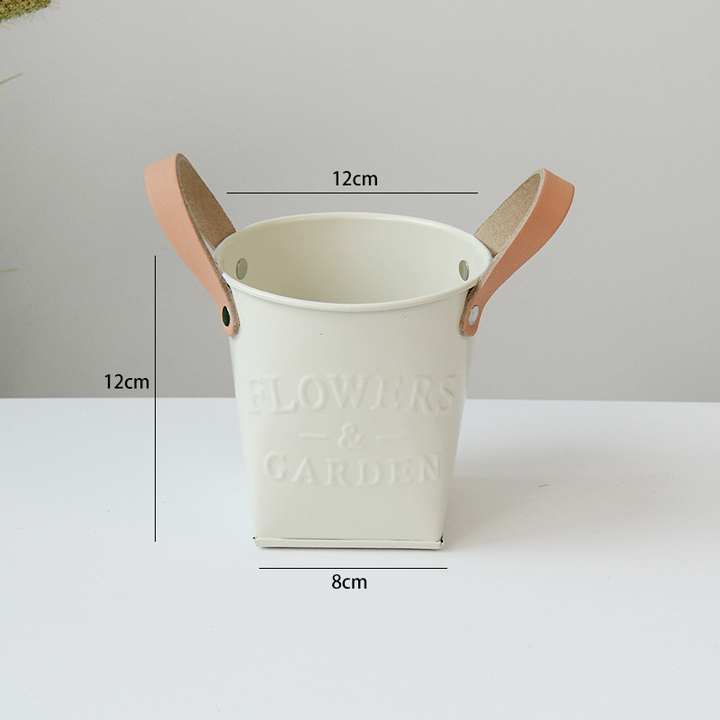 Indoor & Outdoor Plant Pots with Carry Handles