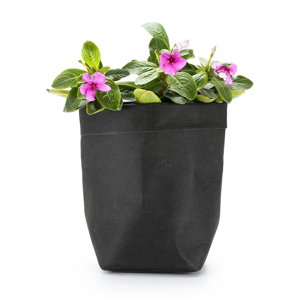 Eco Paper Plant Pots – Contemporary Indoor Planters