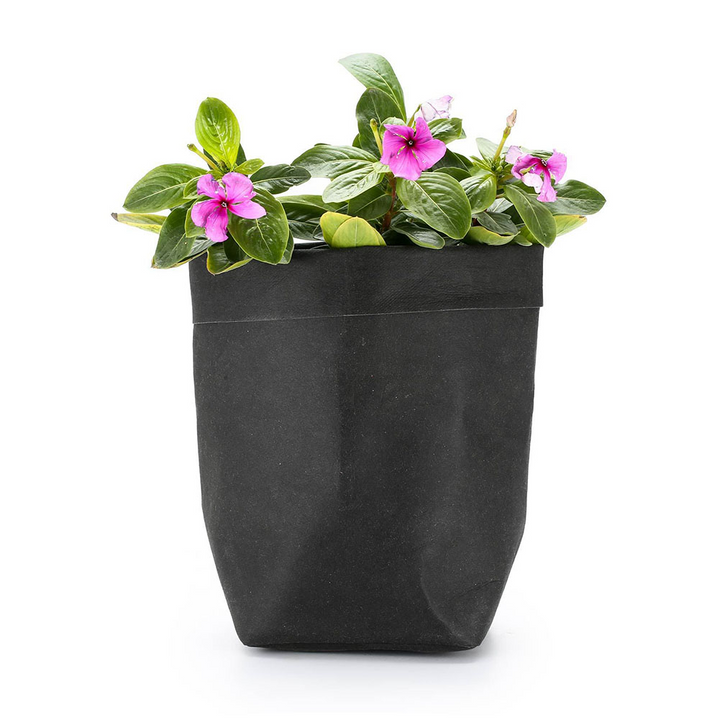 Eco Paper Plant Pots – Contemporary Indoor Planters