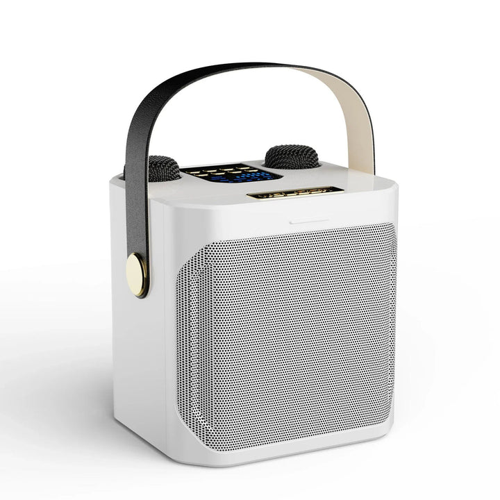 Leistungsstarker Karaoke Bluetooth-Lautsprecher – Tragbare 360° Stereo-Surround-Boombox | Wasserdichter kabelloser Subwoofer mit zwei Mikrofonen