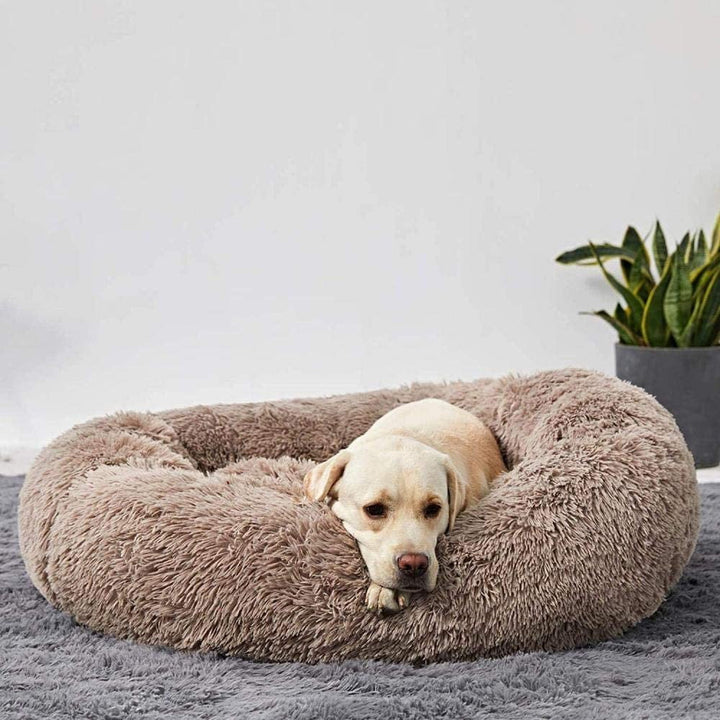 Chew Resistant Calming Dog Bed with Cooling Design