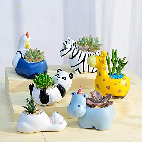 Decorative Animal Plant Pots for Indoor Succulents