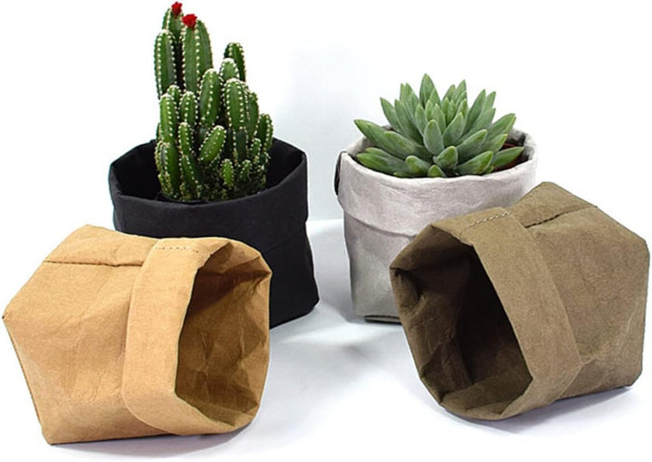 Eco Paper Plant Pots – Contemporary Indoor Planters