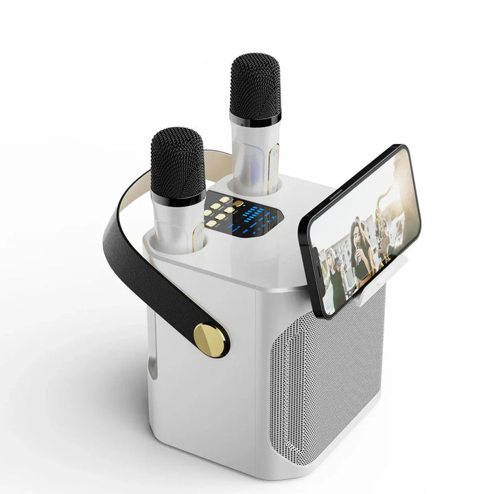 Leistungsstarker Karaoke Bluetooth-Lautsprecher – Tragbare 360° Stereo-Surround-Boombox | Wasserdichter kabelloser Subwoofer mit zwei Mikrofonen