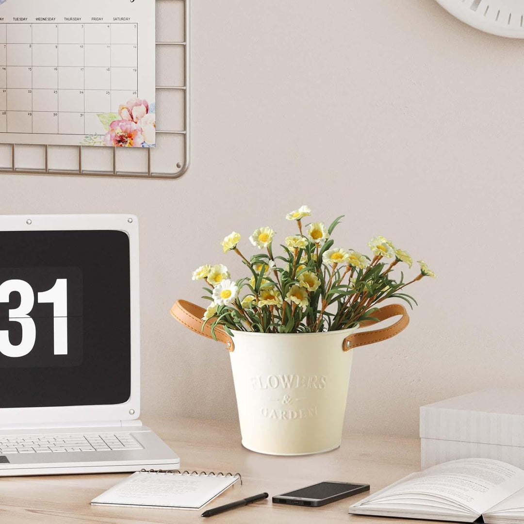 Indoor & Outdoor Plant Pots with Carry Handles