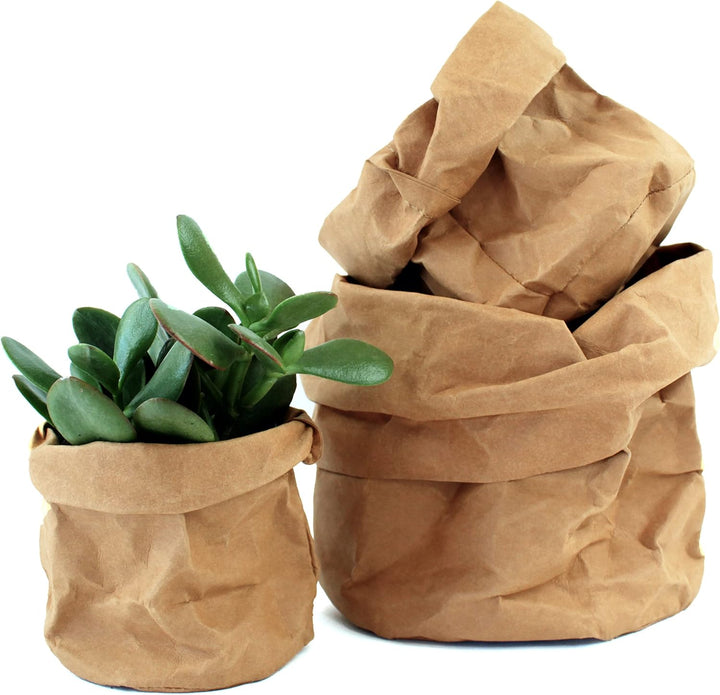 Eco Paper Plant Pots – Contemporary Indoor Planters