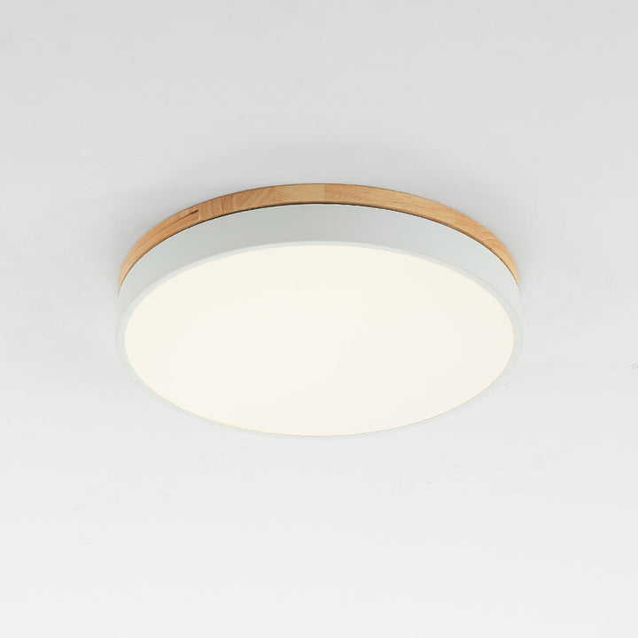 Modern Round Ceiling Light Dimmable LED with 3 Modes
