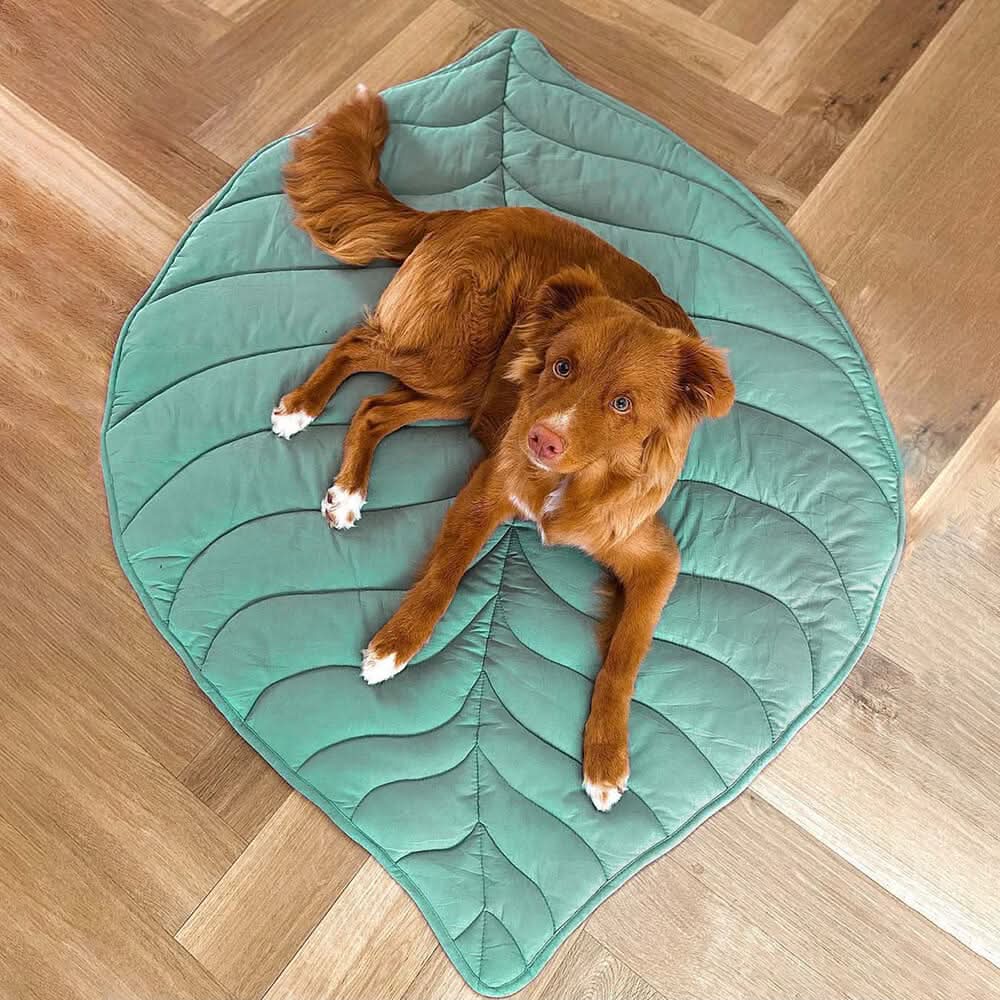 Comfy Leaf Design Dog Bed Mat – Washable Pet Rug
