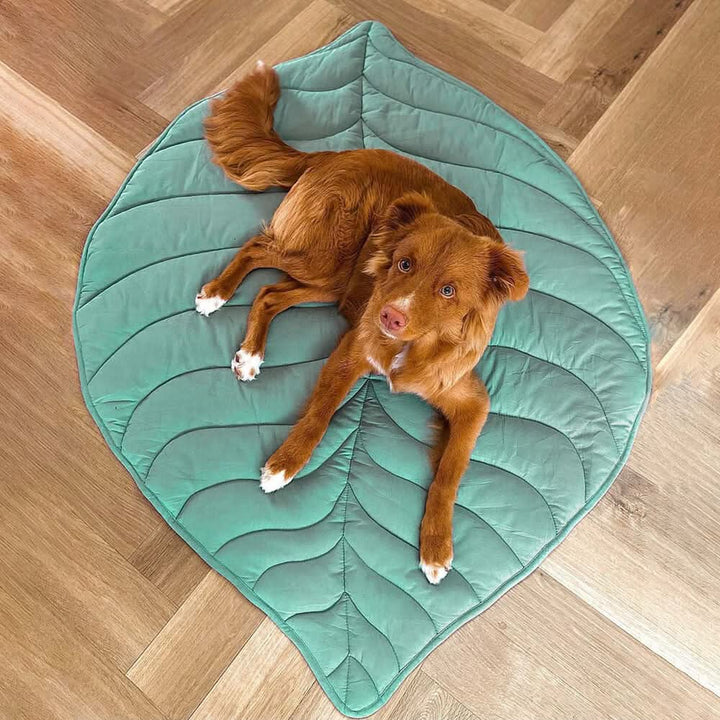 Comfy Leaf Design Dog Bed Mat – Washable Pet Rug