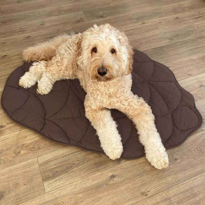 Comfy Leaf Design Dog Bed Mat – Washable Pet Rug