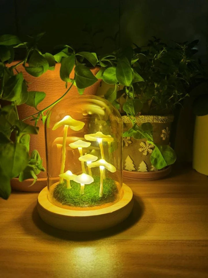 Pilzlampe im Glas – Kreatives & Stimmungsvolles Lichtobjekt | Dekorative Leuchte für Schlafzimmer, Wohnzimmer & Kinderzimmer