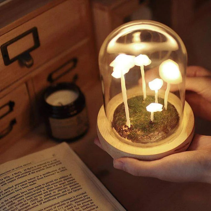 Pilzlampe im Glas – Kreatives & Stimmungsvolles Lichtobjekt | Dekorative Leuchte für Schlafzimmer, Wohnzimmer & Kinderzimmer