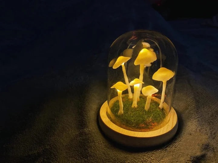 Pilzlampe im Glas – Kreatives & Stimmungsvolles Lichtobjekt | Dekorative Leuchte für Schlafzimmer, Wohnzimmer & Kinderzimmer