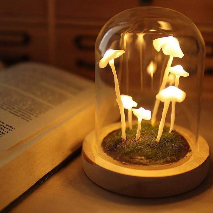 Pilzlampe im Glas – Kreatives & Stimmungsvolles Lichtobjekt | Dekorative Leuchte für Schlafzimmer, Wohnzimmer & Kinderzimmer