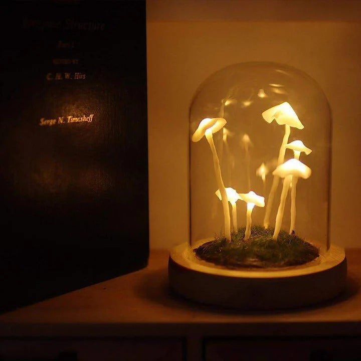 Pilzlampe im Glas – Kreatives & Stimmungsvolles Lichtobjekt | Dekorative Leuchte für Schlafzimmer, Wohnzimmer & Kinderzimmer