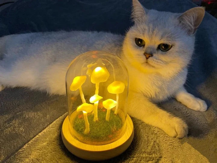 Pilzlampe im Glas – Kreatives & Stimmungsvolles Lichtobjekt | Dekorative Leuchte für Schlafzimmer, Wohnzimmer & Kinderzimmer