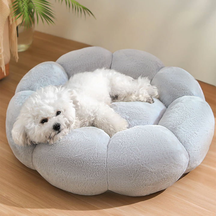 Washable Floral Support Dog Bed for Cats & Small Pets