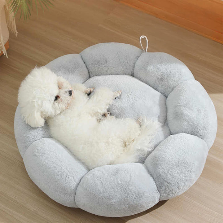 Washable Floral Support Dog Bed for Cats & Small Pets