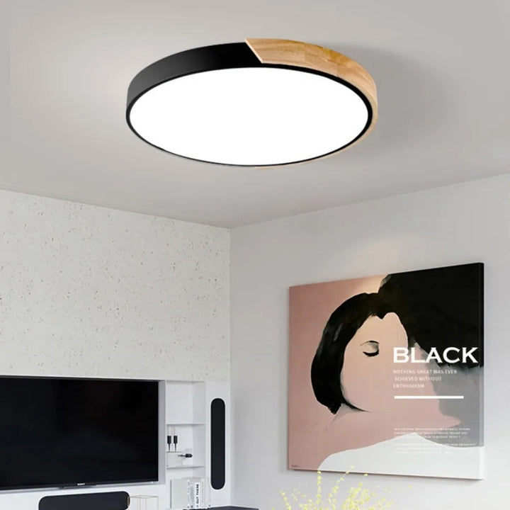 Modern Flush Mount Ceiling Light Round LED Indoor Lighting