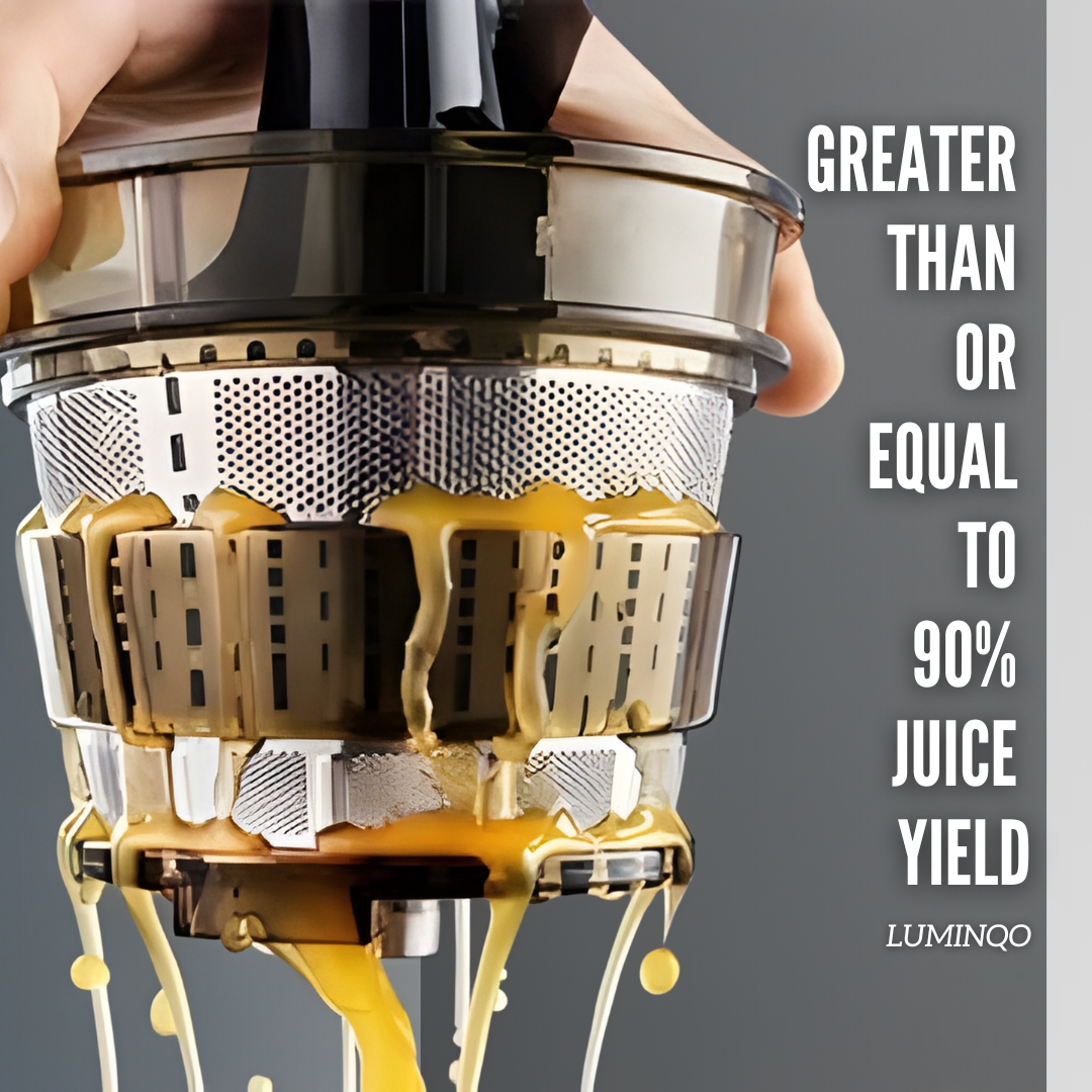 Kitchen Juice Extractor Large Feed Chute Juice Maker