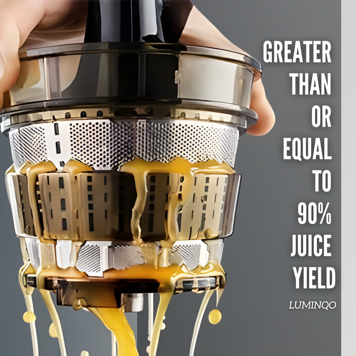 Kitchen Juice Extractor Large Feed Chute Juice Maker