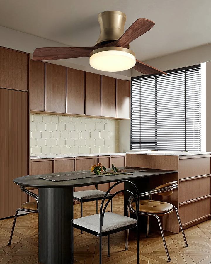 Aeris Flush Ceiling Fan Light