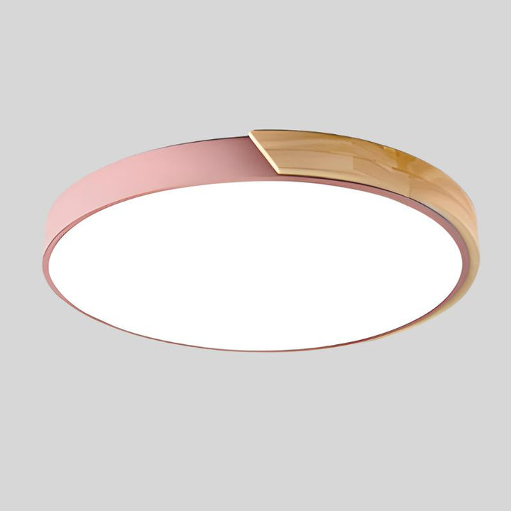 Modern Flush Mount Ceiling Light Round LED Indoor Lighting