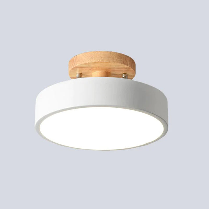 Nordic Style LED Ceiling Light Modern Round Flush Light