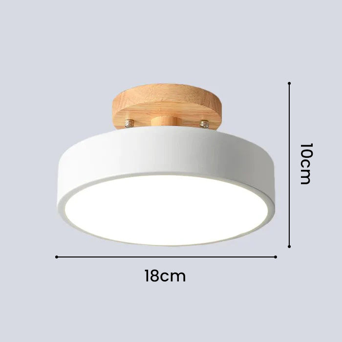Nordic Style LED Ceiling Light Modern Round Flush Light