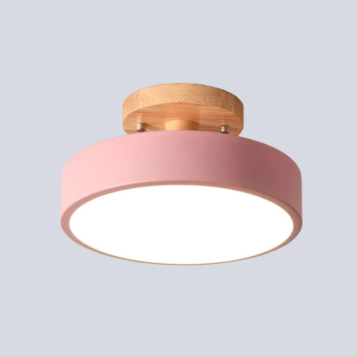 Nordic Style LED Ceiling Light Modern Round Flush Light