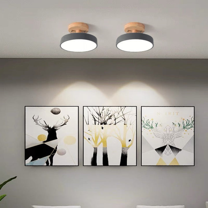 Nordic Style LED Ceiling Light Modern Round Flush Light