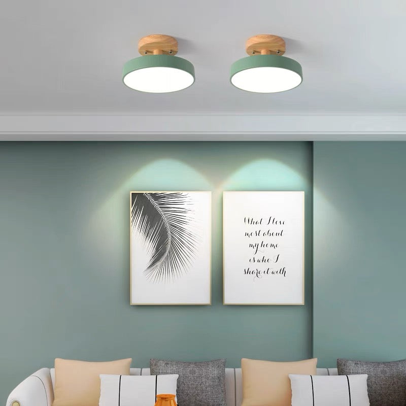 Nordic Style LED Ceiling Light Modern Round Flush Light