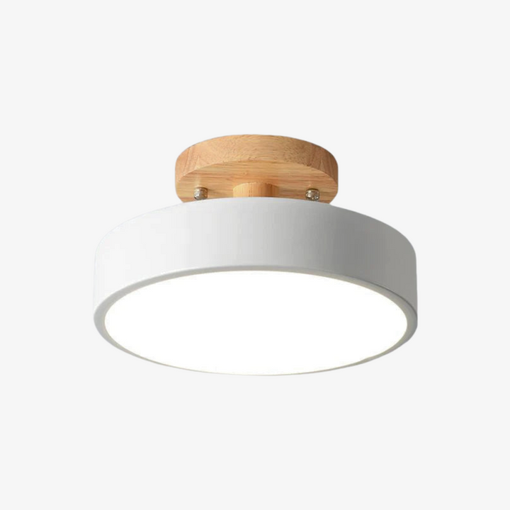 Nordic Style LED Ceiling Light Modern Round Flush Light