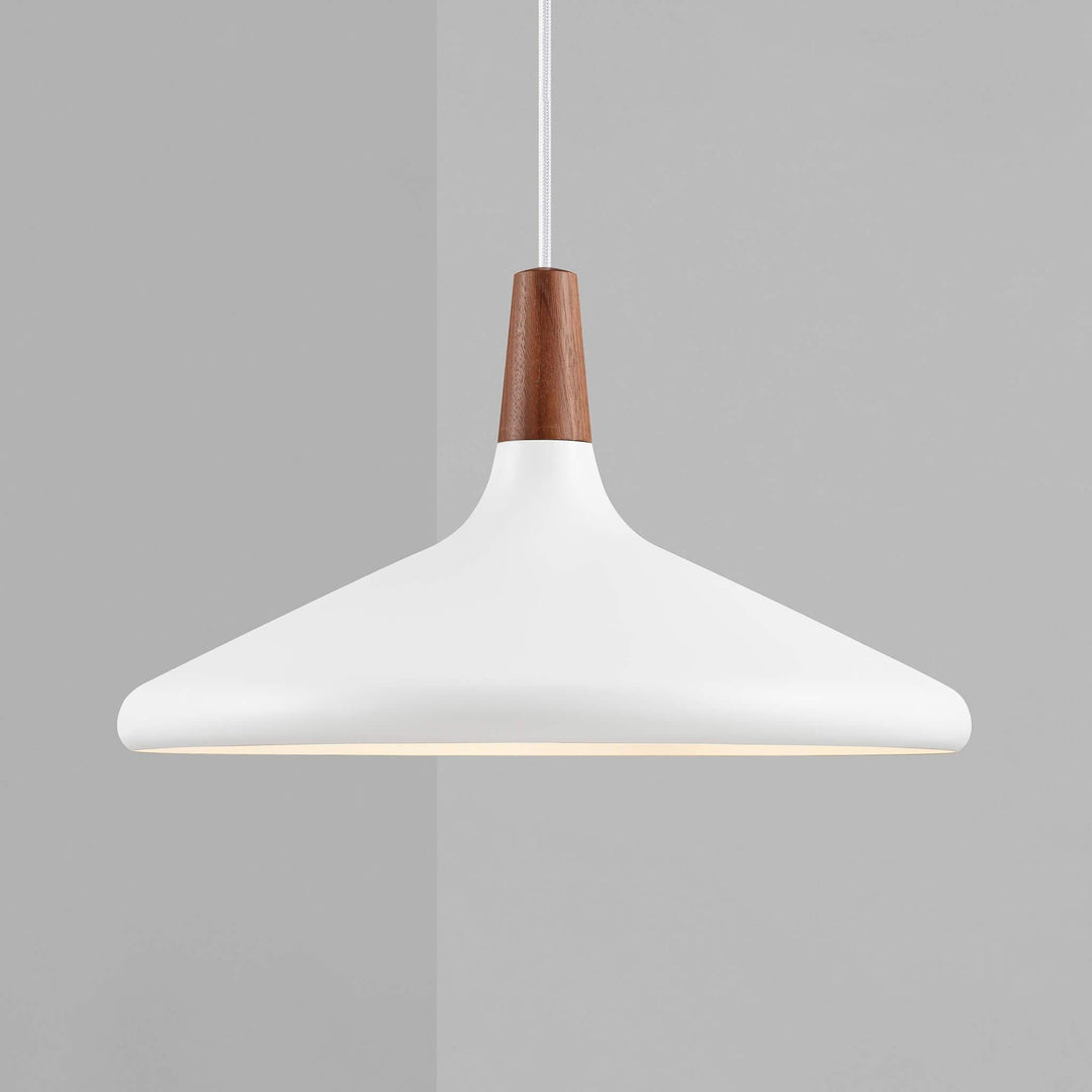 Minimalist Pendant Ceiling Light Decorative Hanging Light
